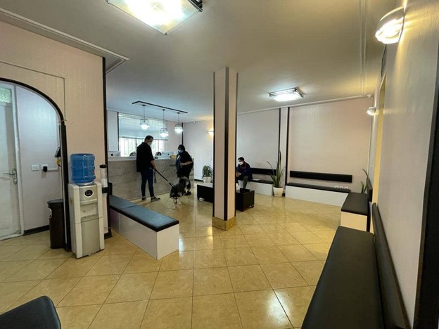 بیمارستان دامپزشکی