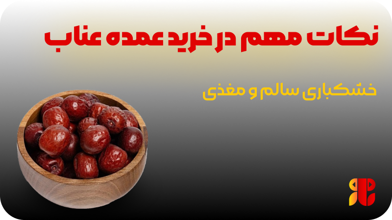 نکات مهم در خرید عمده عناب